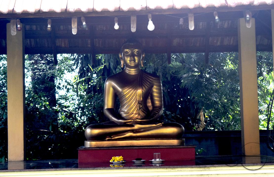 MWC049169