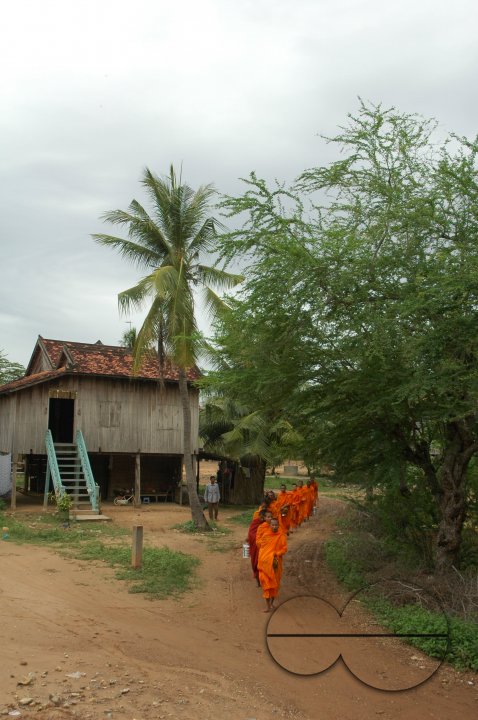 MWC019388