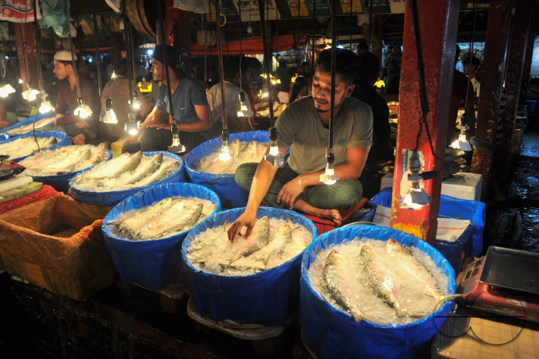 People buy Hilsa fish at the Lalbazar fish market in Sylhet city