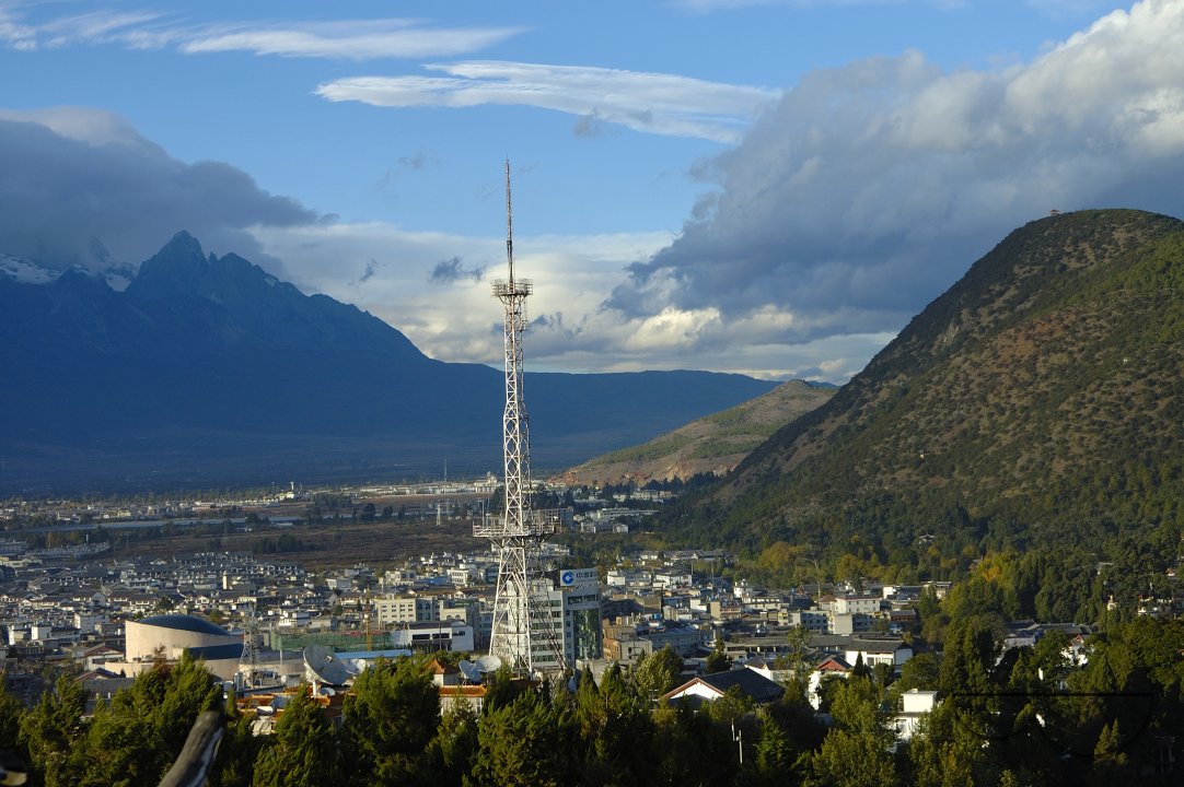 MWC004311