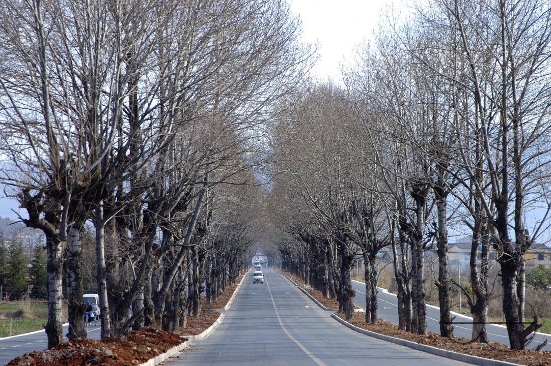 MWC004245