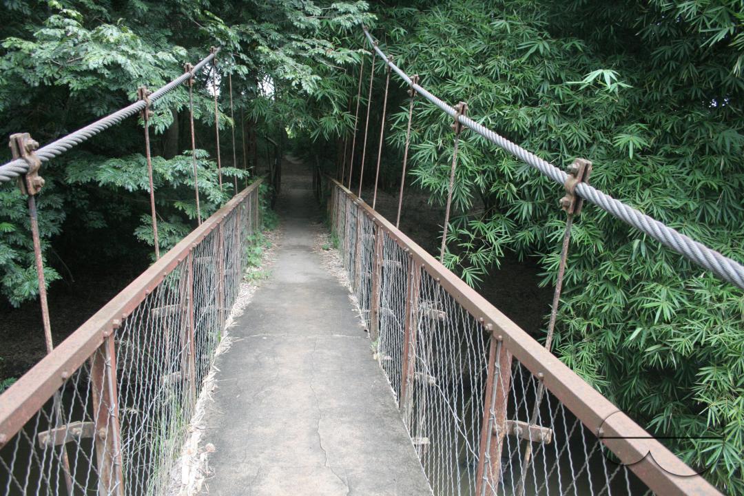The Osun Grove in Oshogbo, Osun State