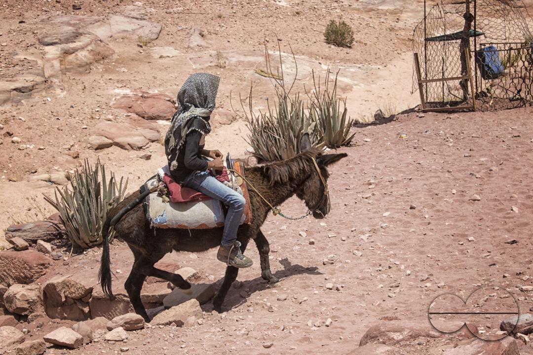 A young male riding a donkey