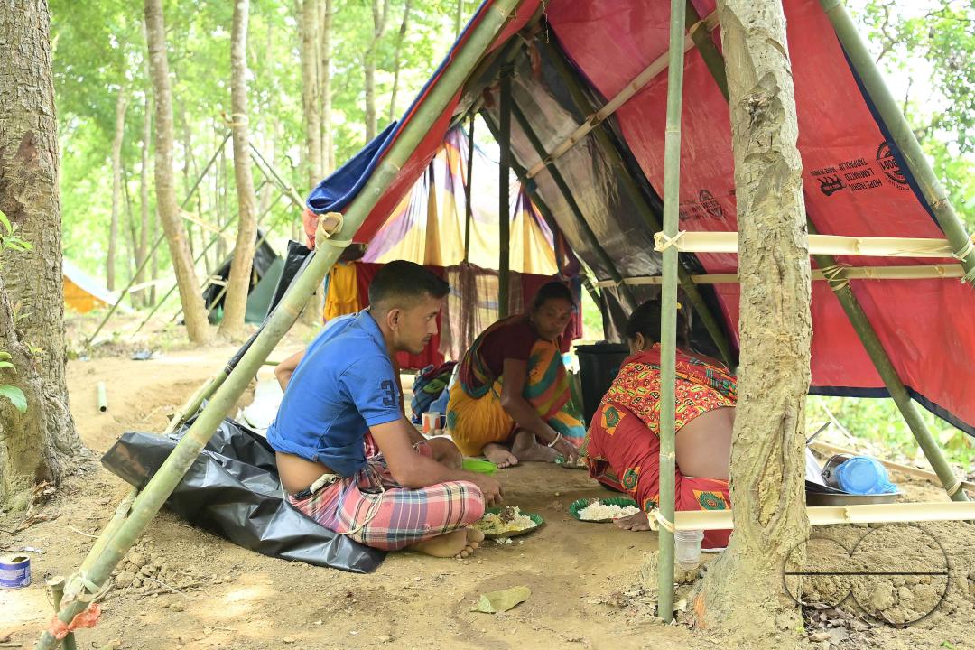 People in makeshift tents at Panisagar's reserve forest area