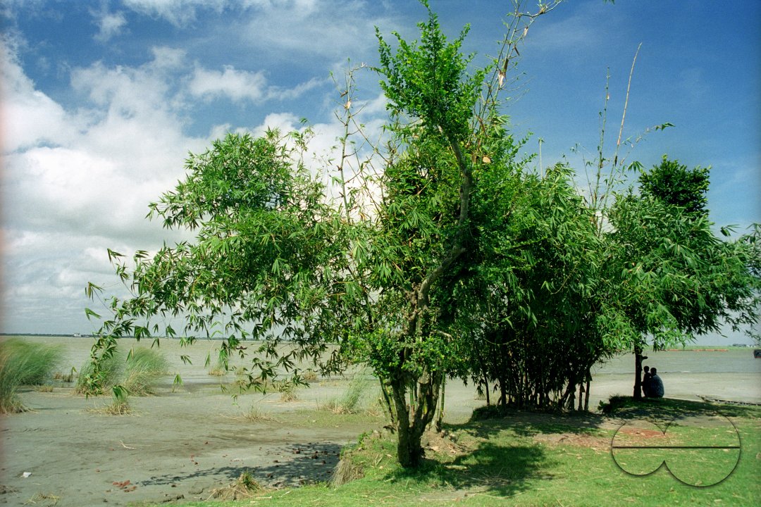 MWC020661
