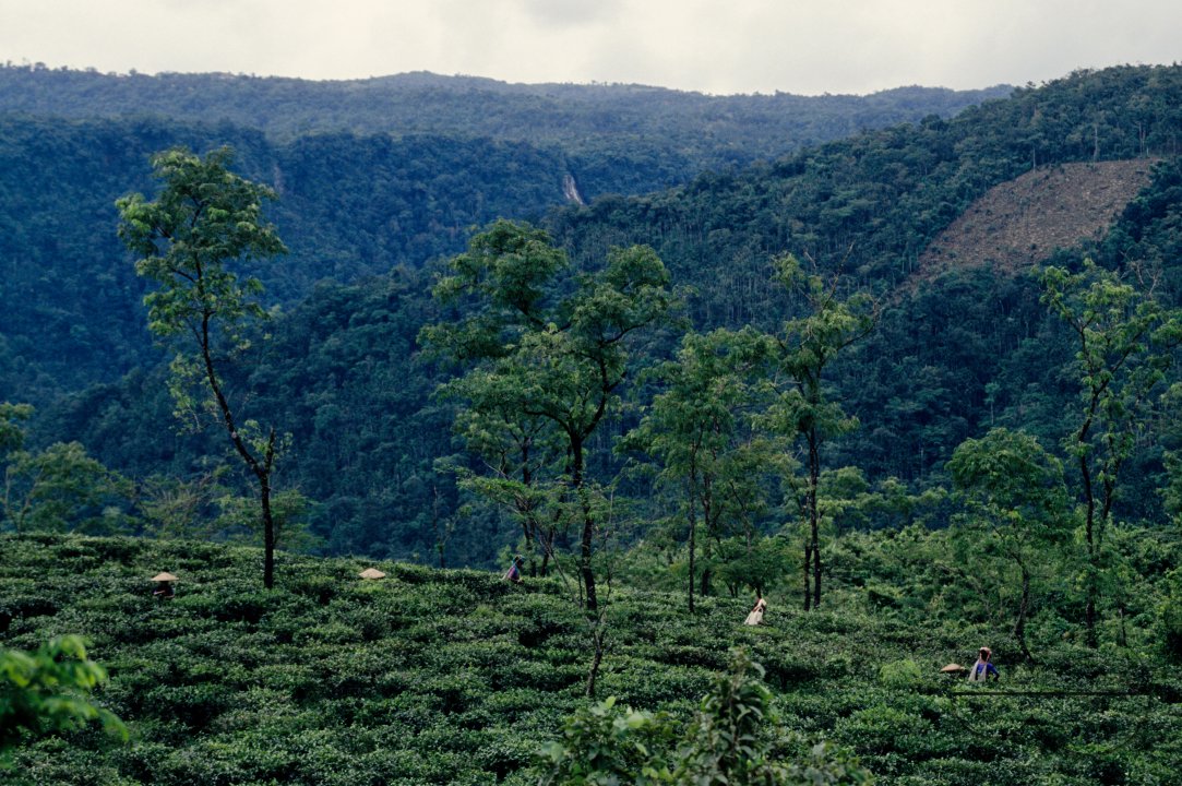 MWC002920