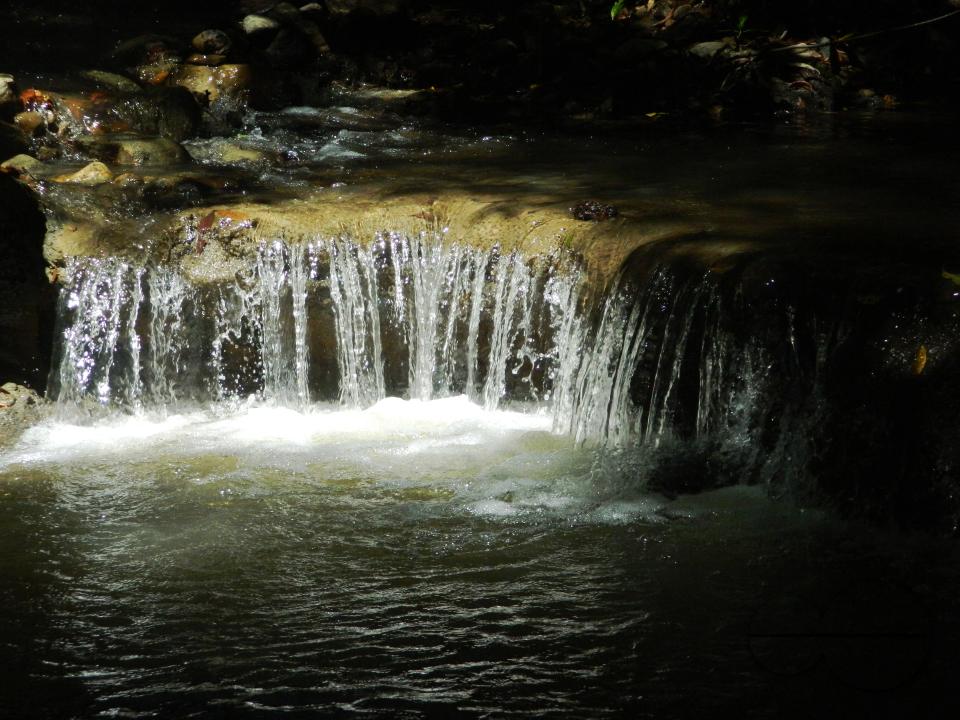 MWC052417