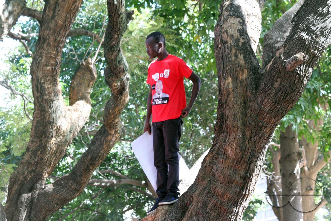 A man is standing on a tree to catch a glimpse of his political party leader giving a speech in Harare, Zimbabwe.