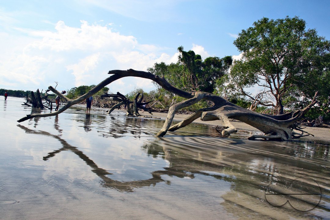 Sundarbans, Khulna