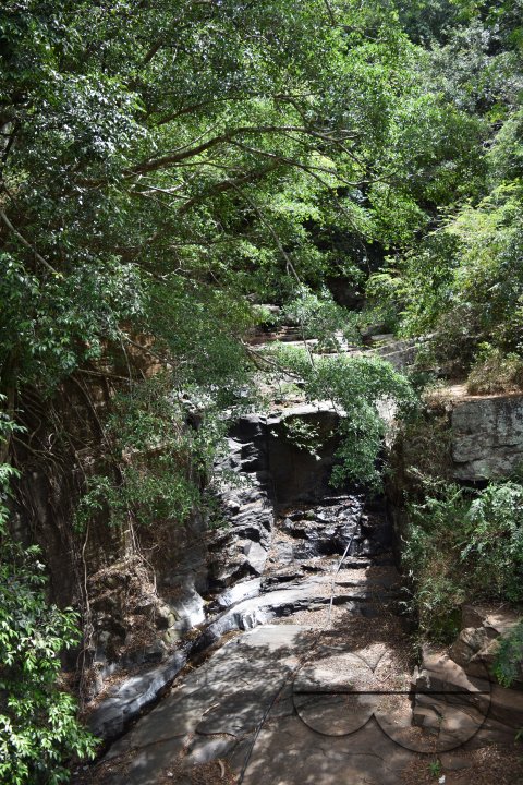 MWC031489
