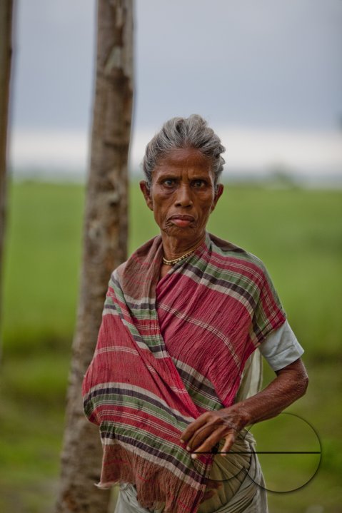 Climate refugees
