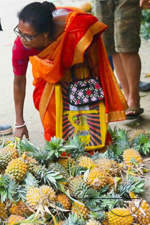 A city dweller purchases pineapple, a renowned summer fruit of Tripura, from a vendor's stall at a bustling roadside fruit market in Agartala