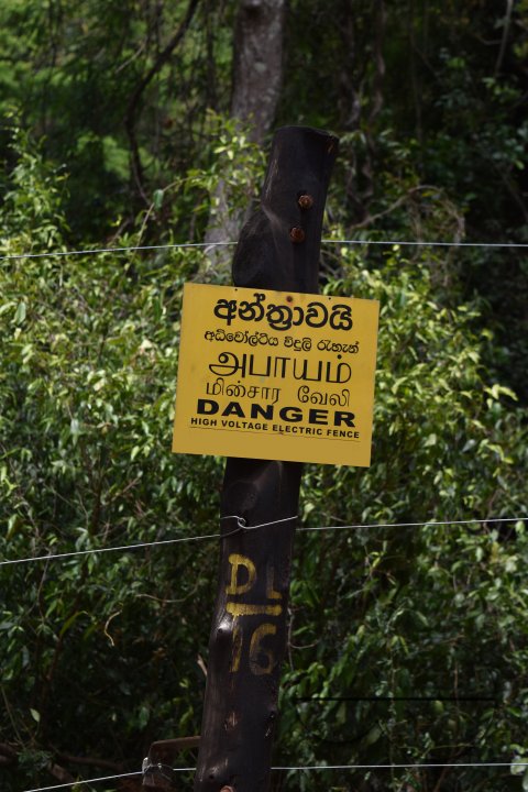 MWC031486