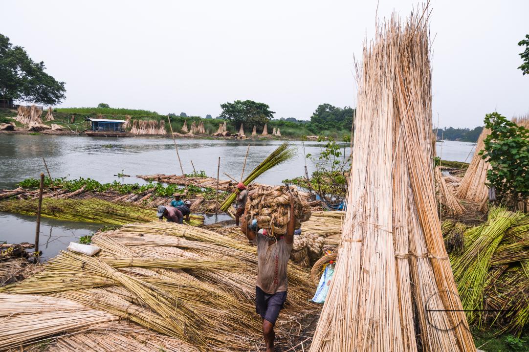 The Asia Pacific region, led by major jute producer India, dominates the Jute Bags Market