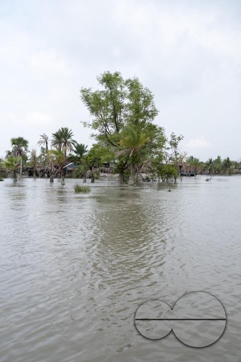 MWC046489