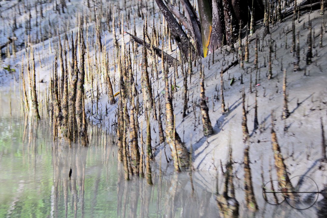 Sundarbans, Khulna