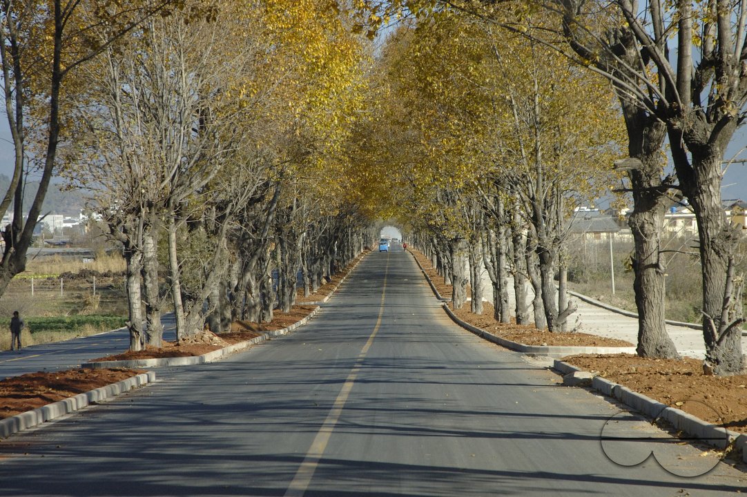 MWC004244