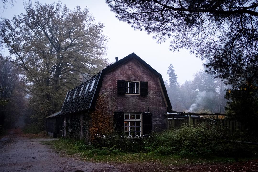 MWC053531