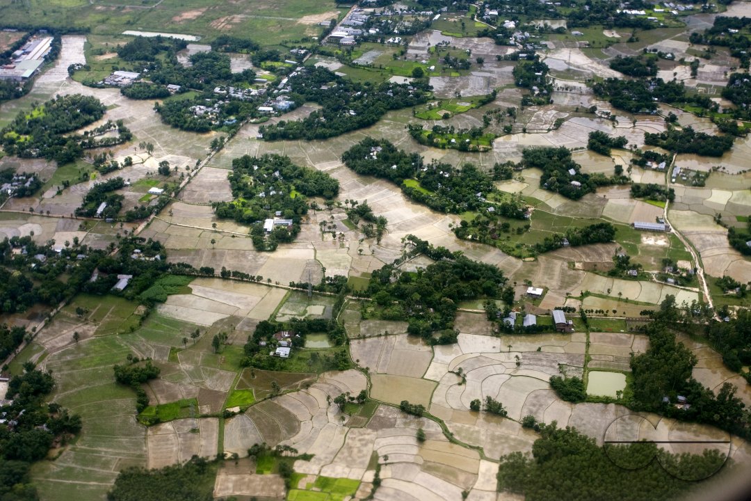 MWC003615