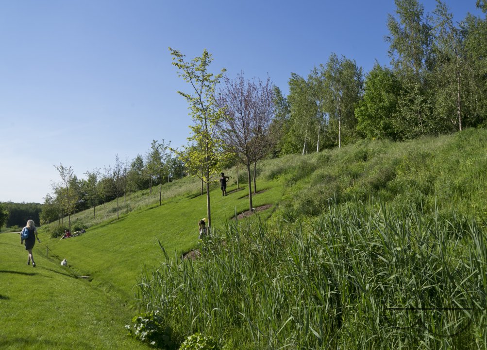 MWC038891