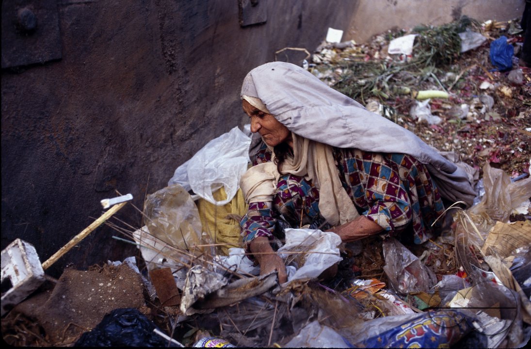MWC008884