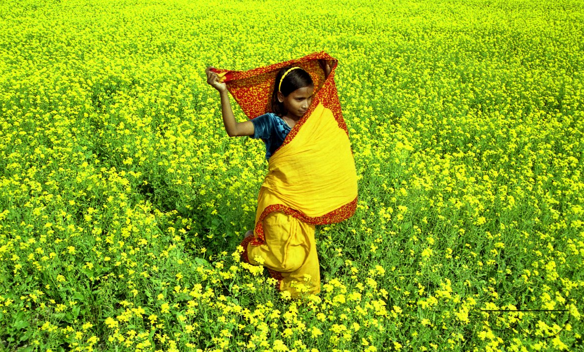 MWC010243