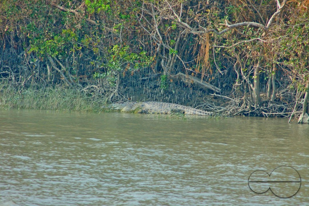 Sundarbans, Khulna, Bangladesh