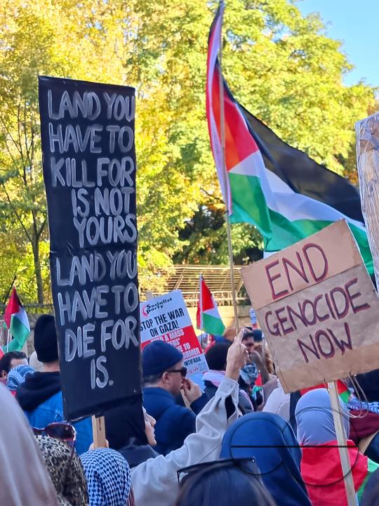 Over 300,000 Pro-Palestinians marched from Hyde Park to the USA embassy in London, on the afternoon of 11th November 2023, protesting against the war and urging an immediateÂ ceasefire