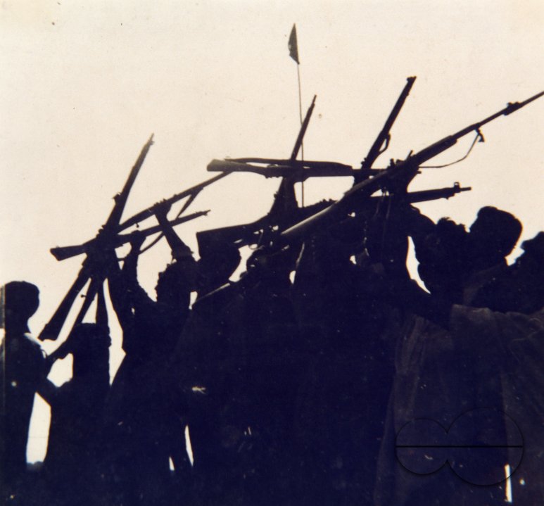 MWC008418