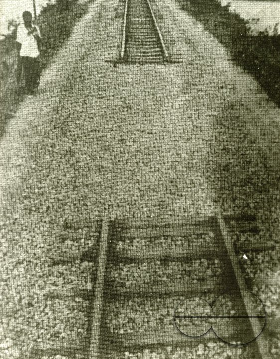 MWC008532
