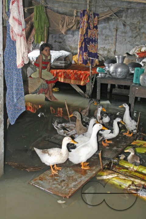 MWC012452