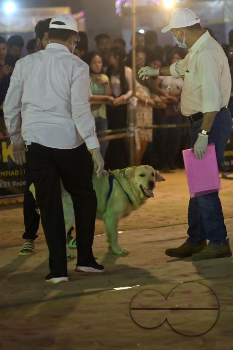 Judges are checking the dogs during the Agartala Dog Carnival-2024, organized by Tripura Veterinary Doctors Association & Pawsome (A social organisation) at Agartala