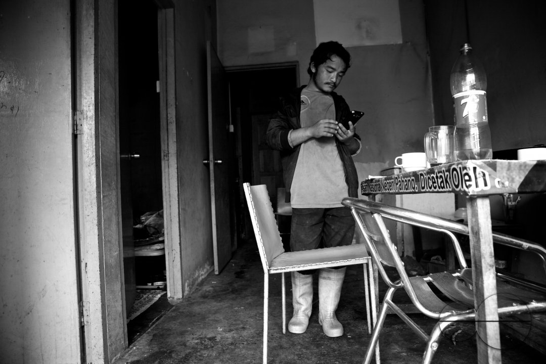 Migrants in Malaysia's tea estates