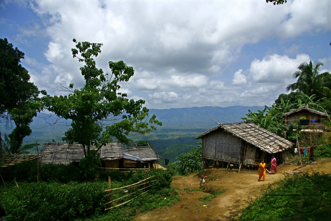 MWC013160