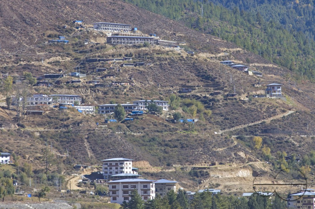MWC012782