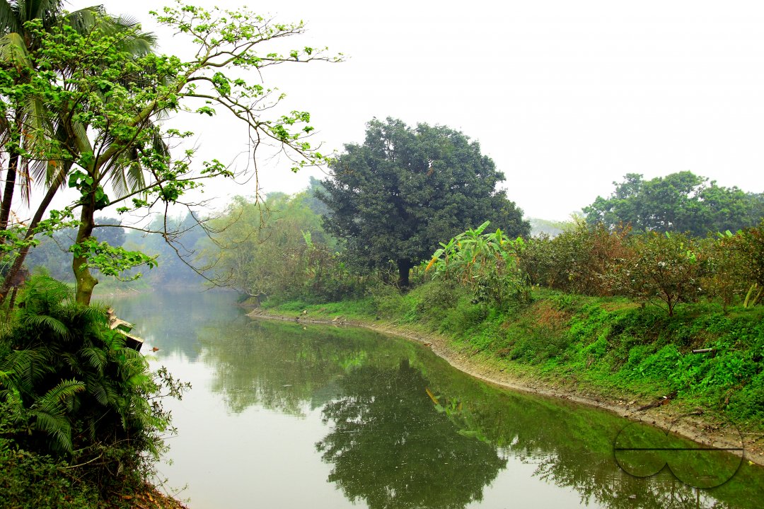 MWC020649