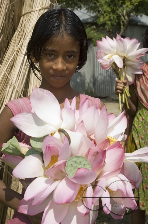 Village_Bangladesh