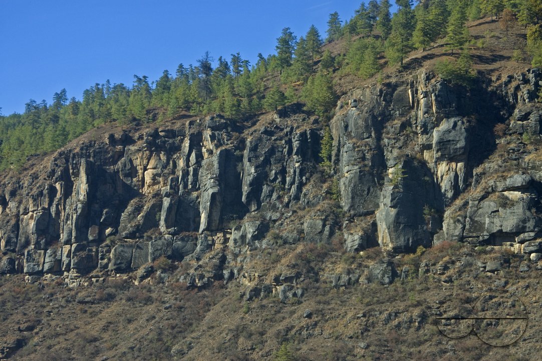 MWC004418