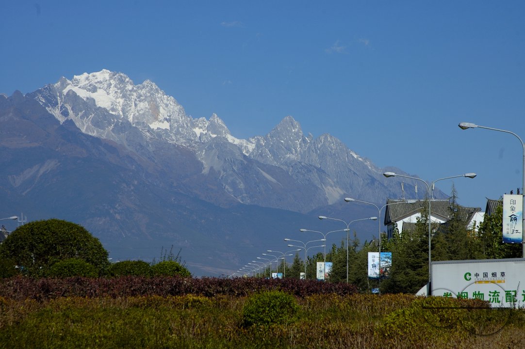 MWC004309