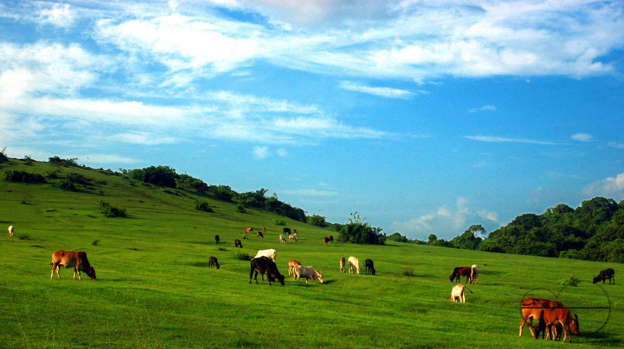 MWC059273