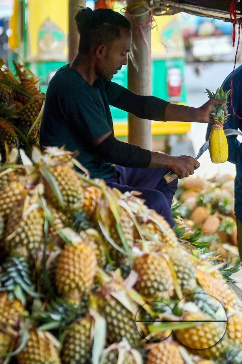A vendor in Agartala sells fresh pineapples, a renowned summer fruit from Tripura, at a bustling roadside fruit market