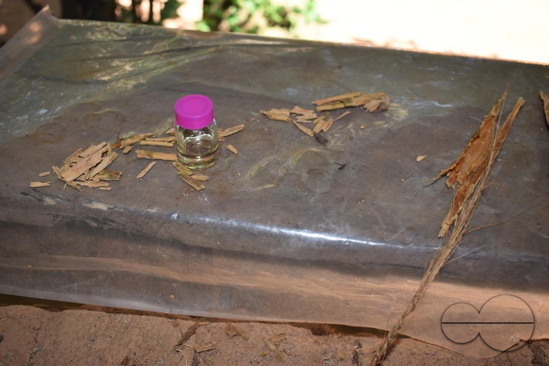 MWC051169