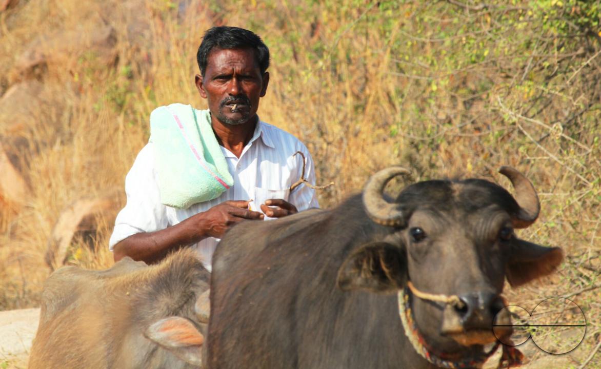 Portrait of a farmer during a hard day's work at a rural village
