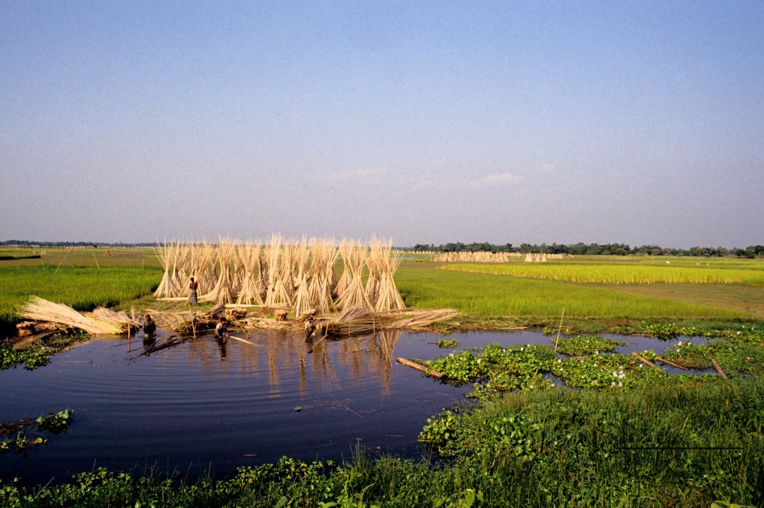 MWC002907