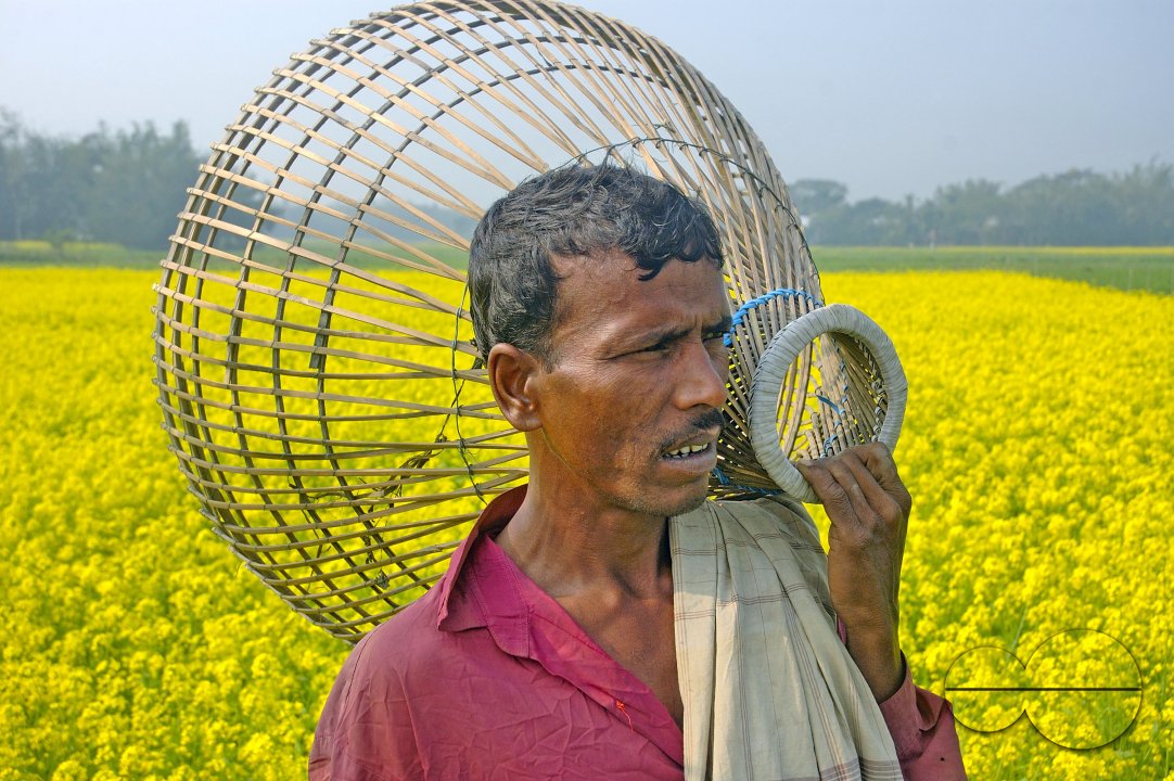 Farmer, Singair