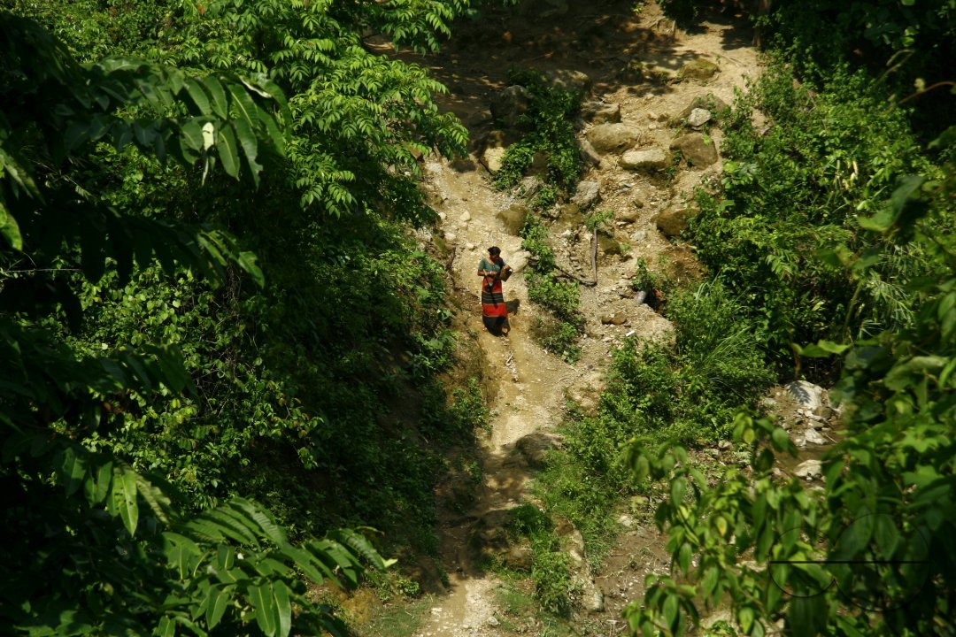 MWC013167