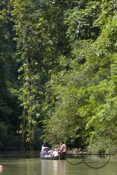 MWC012764