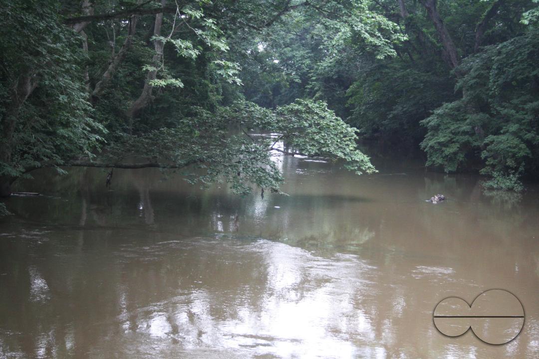 The Osun Grove in Oshogbo, Osun State