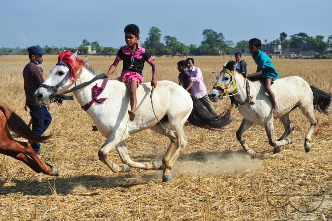 MWC045117