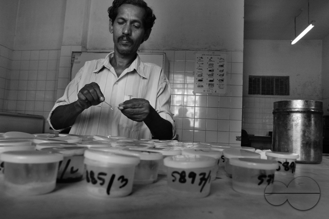 MWC07518